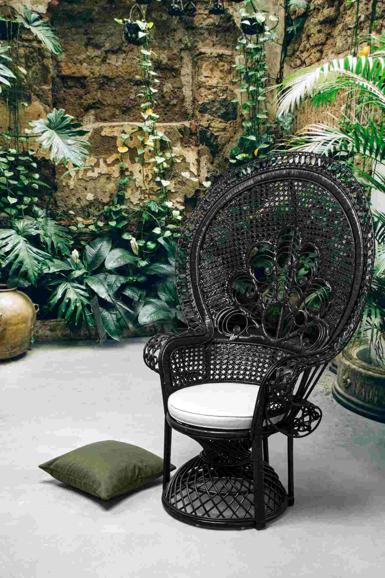 Sessel Peacock aus Rattan, Schwarz