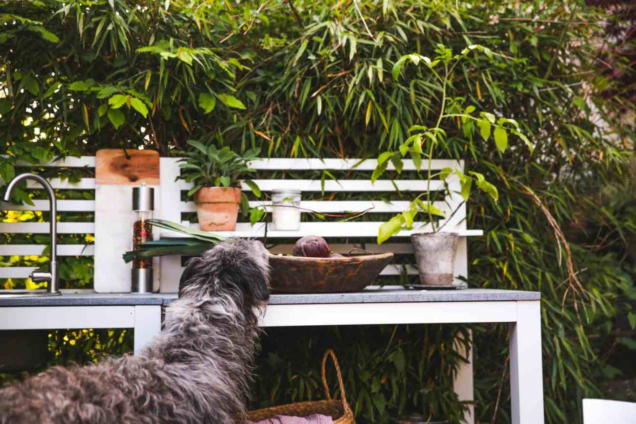 Gartenküche Bellac mit Waschbecken, Weiß